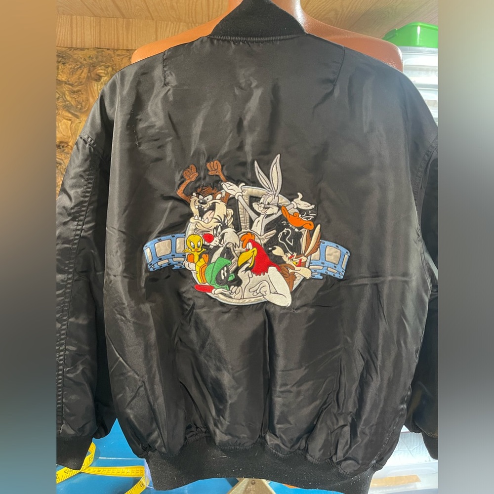 Mens Warner Bros Bomber jacket